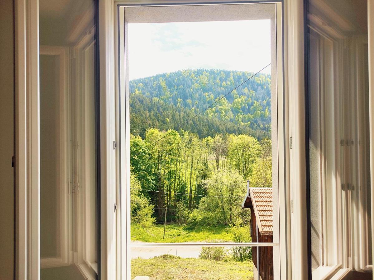 ⁂⁂ Le Chamois Appartement Cledicihome / Magnifique Vue Sur Les Montagnes / 4 Kms De Gerardmer ! ⁂⁂ Rochesson Esterno foto