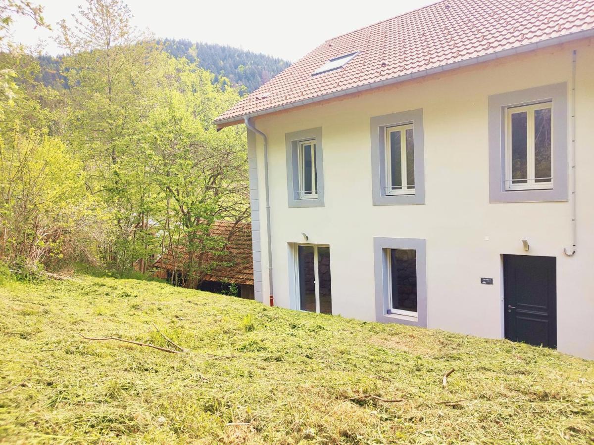 ⁂⁂ Le Chamois Appartement Cledicihome / Magnifique Vue Sur Les Montagnes / 4 Kms De Gerardmer ! ⁂⁂ Rochesson Esterno foto